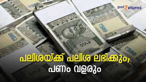 Also Read: 60 മാസത്തേക്ക് നിക്ഷേപിച്ചാൽ 9.81% ആദായം; കൂട്ടുപലിശയുടെ നേട്ടം ലഭിക്കാൻ ഈ സ്ഥിര നിക്ഷേപം തിരഞ്ഞെടുക്കാം